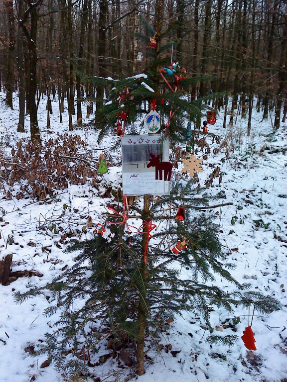 Weihnachtswald